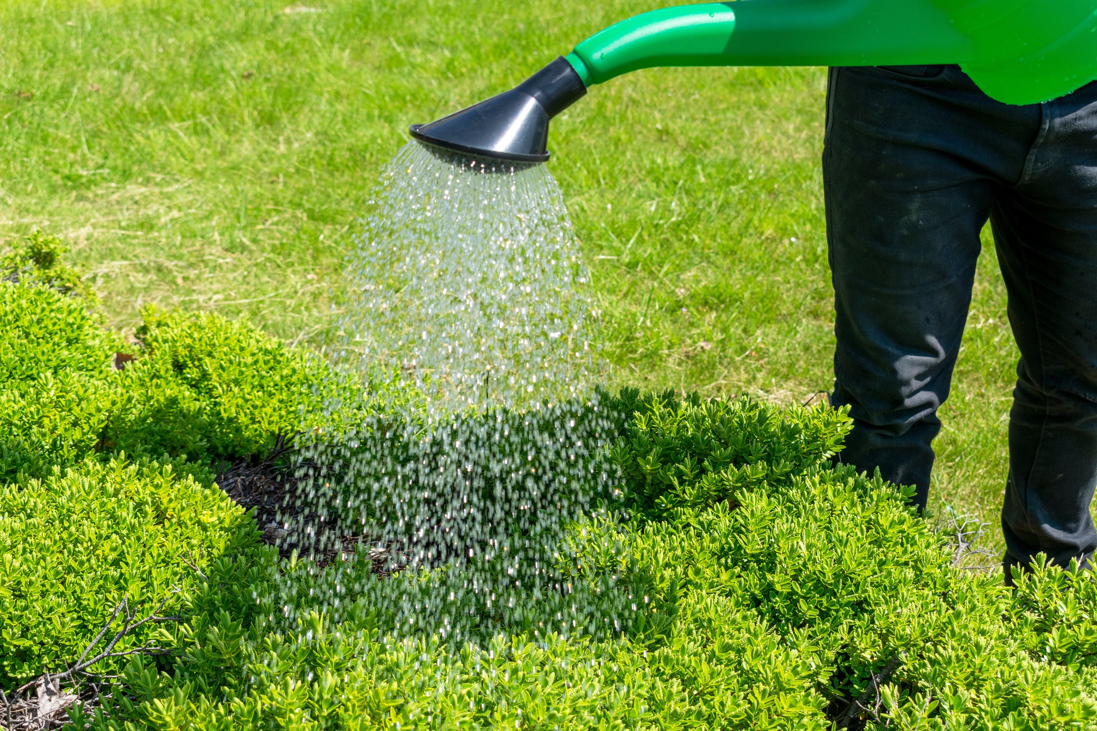 Garden Watering Can 10 Litres DIY Workshop Accessory Outdoor Hose Accessory